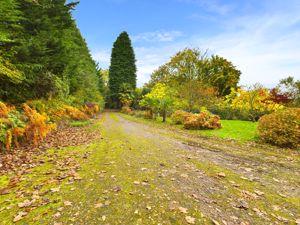 DRIVEWAY- click for photo gallery